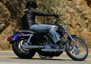 Harley-Davidson XL1200 C Sportster